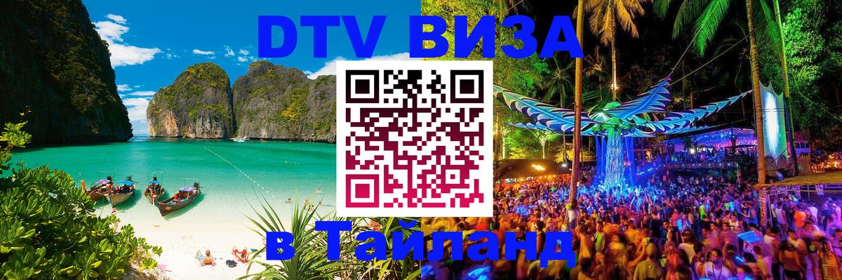 Сколько стоит DTV виза — актуальные цены, оформление даже без документов - Багдад  08.01.2026 